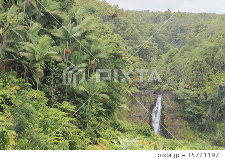 アカカ滝 35721197