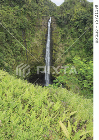 アカカ滝 35721199