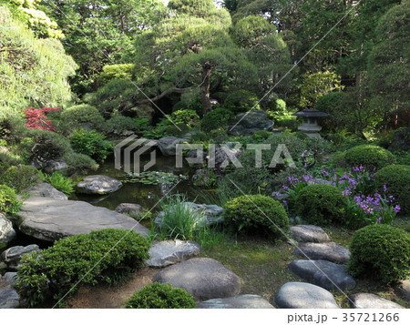 新緑が美しい春の葛飾区山本亭（主庭） 35721266