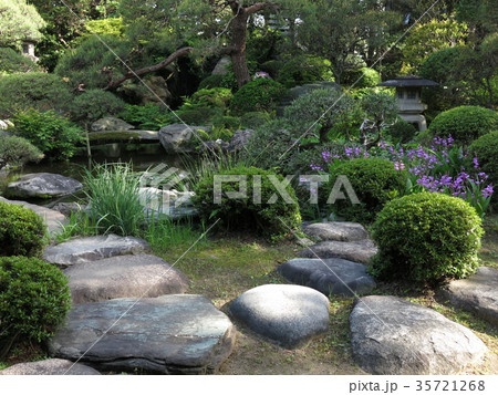 新緑が美しい春の葛飾区山本亭（主庭） 35721268