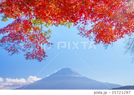 紅葉と富士山 紅葉と富士山 35721297