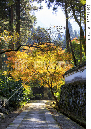 雷山千如寺大悲王院の紅葉 雷山千如寺大悲王院の紅葉 35721497