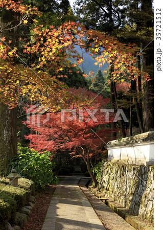 雷山千如寺大悲王院の紅葉 35721512