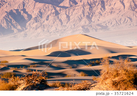 Mesquite Flat Sand dunes Death Valley CA, USA. Mesquite Flat Sand dunes Death Valley CA, USA. 35721624