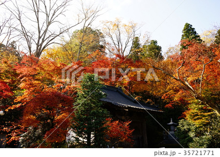 永源寺 もみじ 永源寺 もみじ 35721771