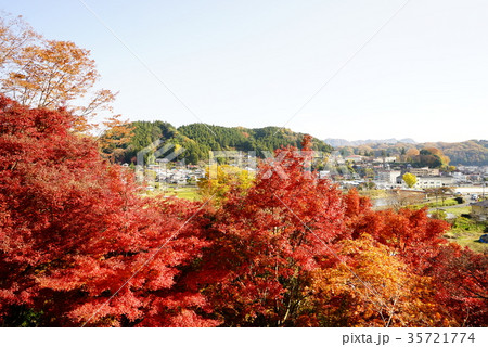 永源寺　もみじ 35721774