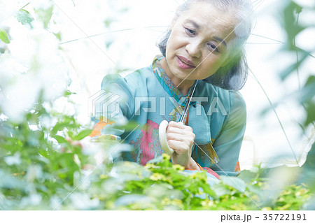庭で日傘をさすシニア女性 35722191