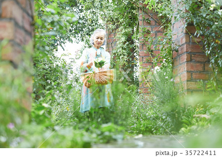 庭で花を摘むシニア女性の写真素材