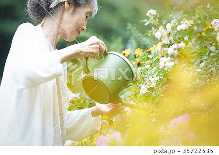 水やりをするシニア女性 35722535