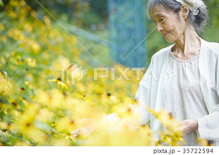 庭で花を摘むシニア女性 35722594