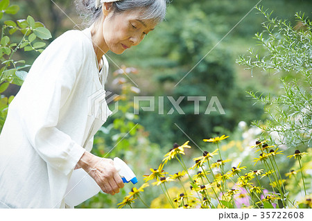 水やりをするシニア女性 35722608