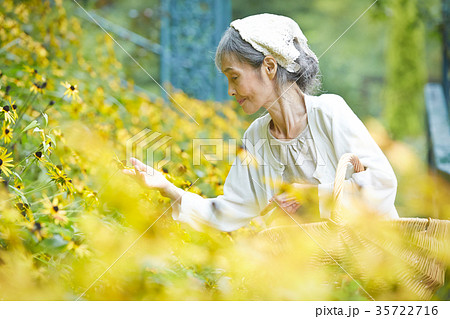 庭で花を摘むシニア女性の写真素材