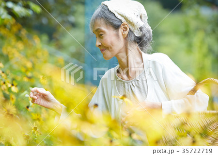 庭で花を摘むシニア女性の写真素材