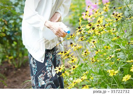 水やりをするシニア女性 水やりをするシニア女性 35722732