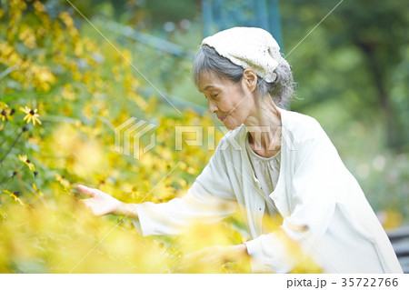 庭で花を摘むシニア女性 35722766