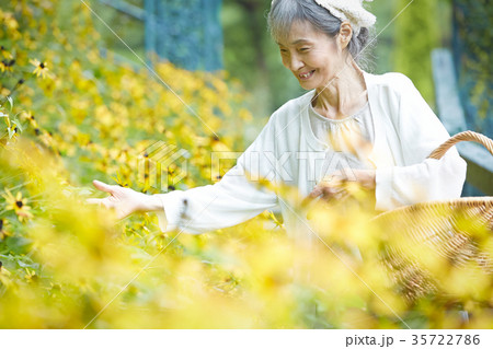 庭で花を摘むシニア女性 35722786