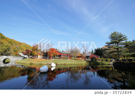 札幌芸術の森 秋の園内風景 札幌芸術の森 秋の園内風景 35722834