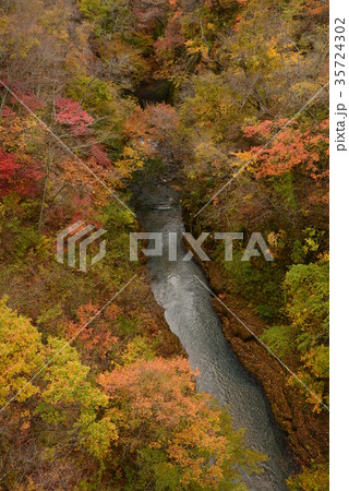 雪割渓谷の紅葉　　＃24 35724302