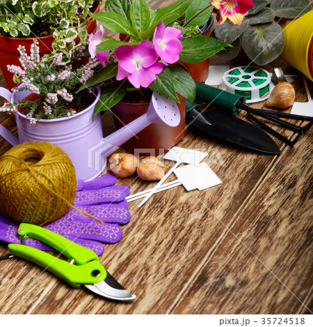 Gardening hobby tools for planting flowers Gardening hobby tools for planting flowers 35724518