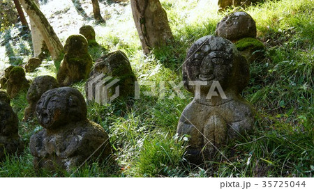 複数の石像　千二百羅漢 35725044