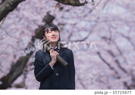 満開の桜 卒業式 中学生の写真素材