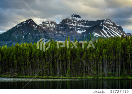 Deep forest along Herbert Lake in Banff National 35727419