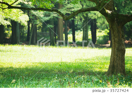 千里中央公園 千里中央公園 35727424