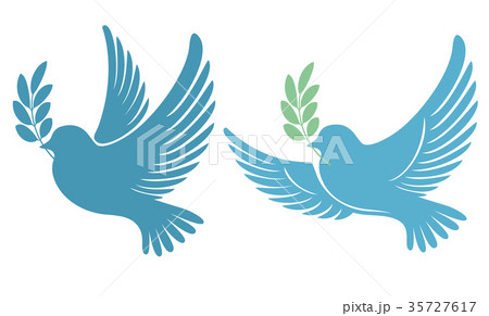 Pigeon 35727617
