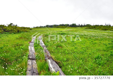 田代山 田代山 35727770