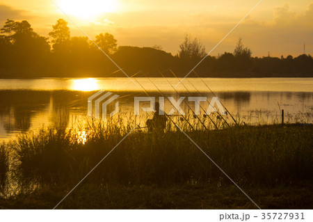 People fishing in the morning People fishing in the morning 35727931
