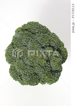 Fresh single ripe broccoli isolated on white Fresh single ripe broccoli isolated on white 35728113