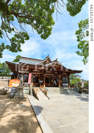 赤穂大石神社 本殿 -大石良雄（通称内蔵助）ら赤穂浪士を祀る神社- 35729794