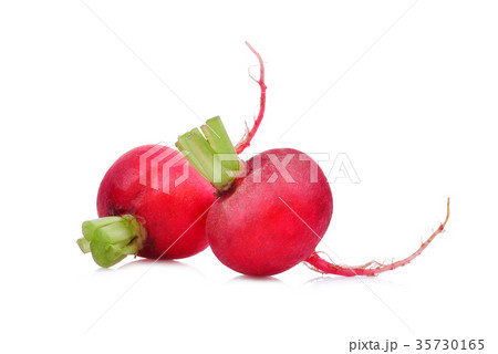 two small red garden radish with root isolated two small red garden radish with root isolated 35730165