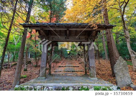 京都 秋の常照皇寺 京都 秋の常照皇寺 35730659
