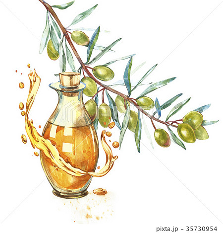 A branch of ripe green olives is juicy poured with 35730954