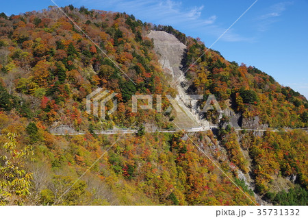 国道438号線 35731332