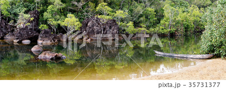 Masoala National Park landscape, Madagascar 35731377