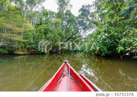 Masoala National Park landscape, Madagascar Masoala National Park landscape, Madagascar 35731378