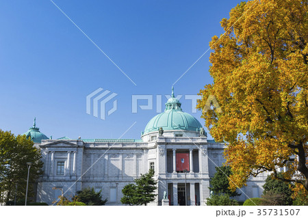 上野公園 黄葉と博物館 上野公園 黄葉と博物館 35731507