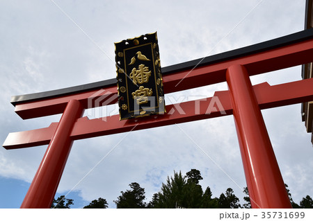 大崎八幡宮の大鳥居 大崎八幡宮の大鳥居 35731699