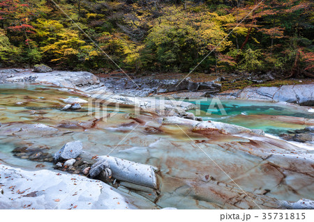 面河渓の紅葉 35731815