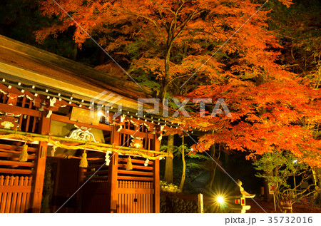 鳩ヶ嶺八幡宮の紅葉 鳩ヶ嶺八幡宮の紅葉 35732016