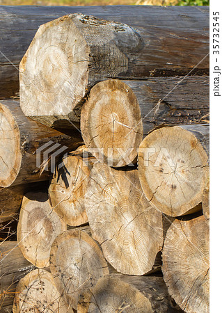 積まれた建築用木材　細かくは種類がわからない木材　材木　丸太 35732545