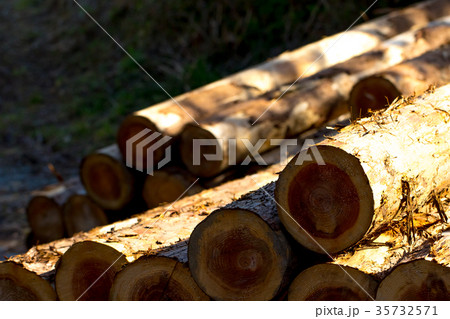積まれた建築用木材 細かくは種類がわからない木材 材木 丸太 積まれた建築用木材 細かくは種類がわからない木材 材木 丸太 35732571