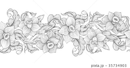 Daffodils narcissus dense outline sketch Daffodils narcissus dense outline sketch 35734903