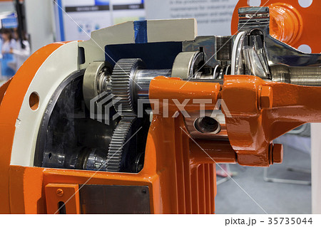 Cross Section of gear pump 35735044