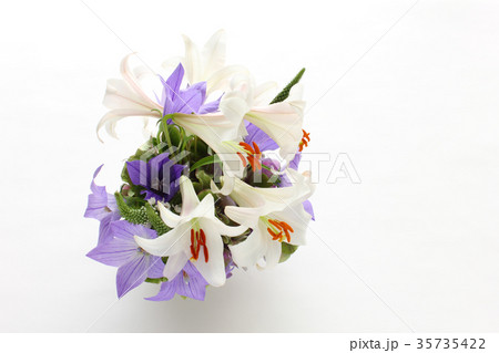 ササユリとキキョウとアジサイとオカトラノオのアレンジ（花びら花粉なし）（横　全体　右向き） 35735422