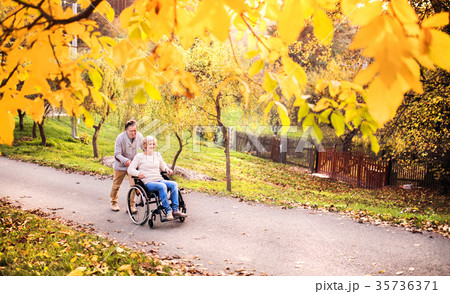 Senior couple in wheelchair in autumn nature. 35736371