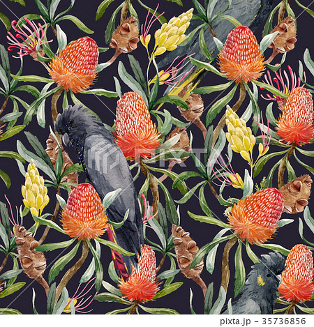 Watercolor tropical australian vector pattern 35736856