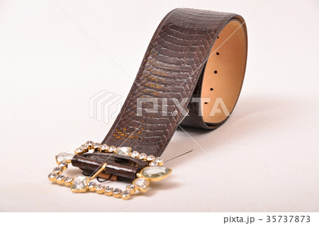 Snake skin belt Snake skin belt 35737873